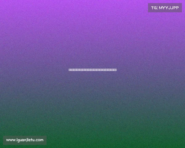 自创品牌赛事创星之旅盛大启幕汇聚全球精英竞技智慧共创品牌新篇章